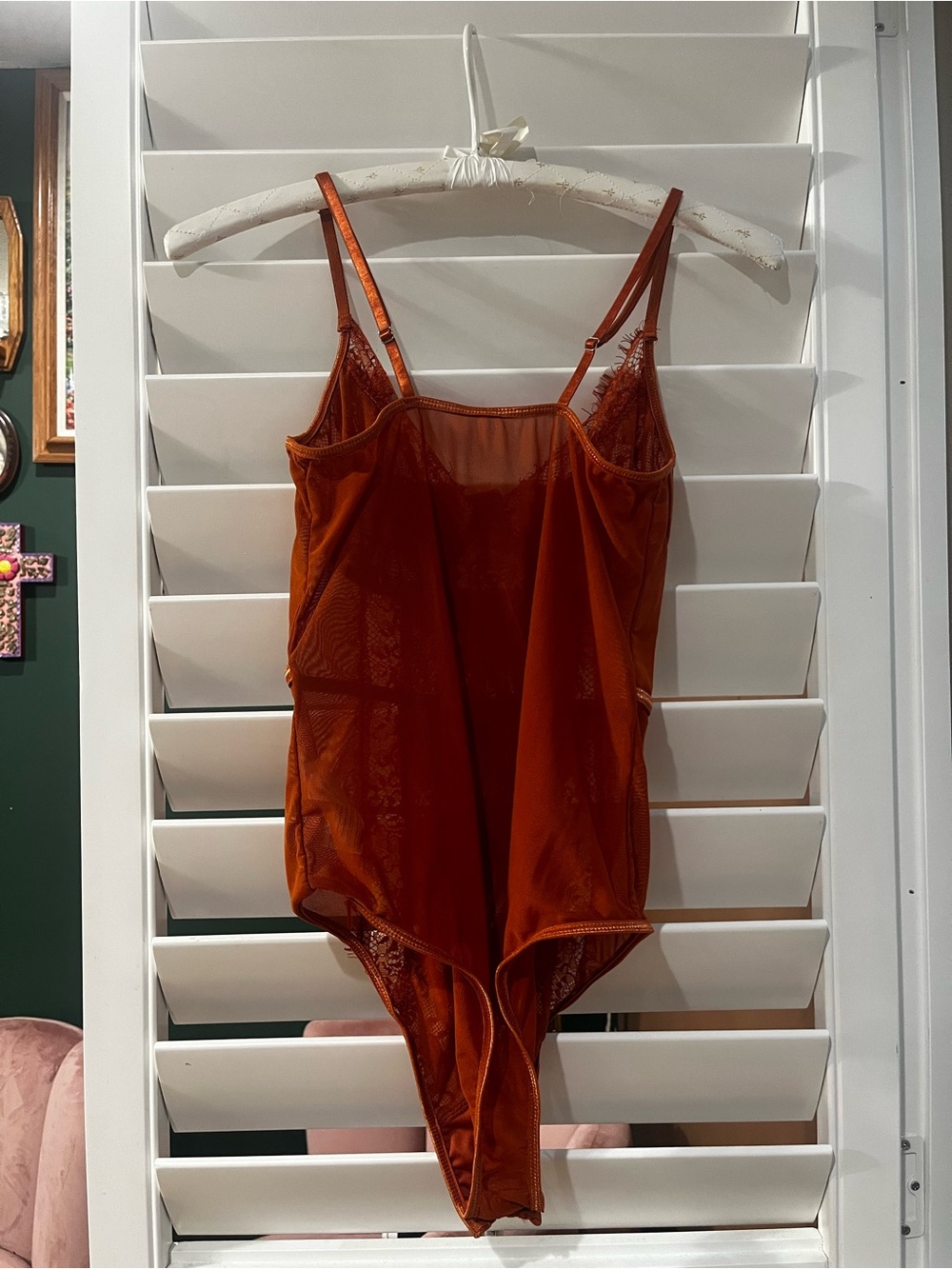 Rust Lace Mesh Bodysuit - Picture 5 of 5